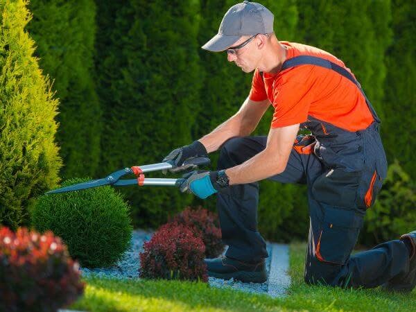 impresa pulizie firenze cura del giardino