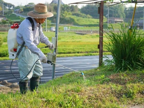 impresa pulizie firenze disinfezione aree verdi